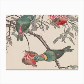 Two Parrots On A Pomegranate Canvas Print