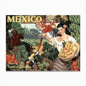 Mexico, Tropical Splendor Canvas Print