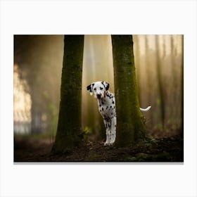 Dalmatian puppy in between the trees - Gavers Belgium dog photo print - moody animal photography art Canvas Print