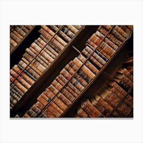 Old Books In A Library Books Bookshelf Classic Collection Canvas Print