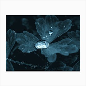 A Drop Of Water In The Grass Under The Night Moonlight Canvas Print