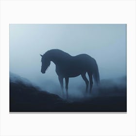 Horse In The Fog Canvas Print