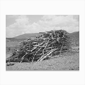 Wood Supply Of Spanish American Farmer, Amalia, New Mexico By Russell Lee Canvas Print