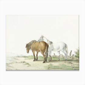 A Brown And White Horse On A Road Next To A Fence, Jean Bernard Canvas Print