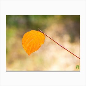 Autumn Leaf 20210101 134ppub Canvas Print