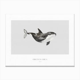 Boho Ocean 1 Orca Whale Canvas Print