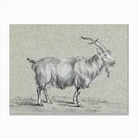 Standing Goat, Jean Bernard Canvas Print