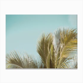 Warm Summer Palm Leaf Canvas Print