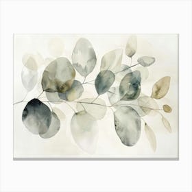 Eucalyptus Leaves 4 Canvas Print