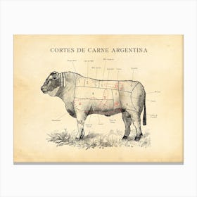 Argentinian Beef Cuts Chart Canvas Print