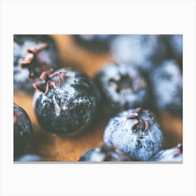 Blueberries Canvas Print