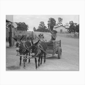 Mr, Leatherman Drives His Burro Drawn Cart Up To The Filling Station To Get Air In The Rubber Tires Canvas Print