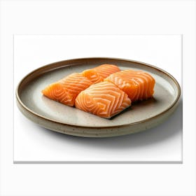 Salmon On A Plate 7 Canvas Print