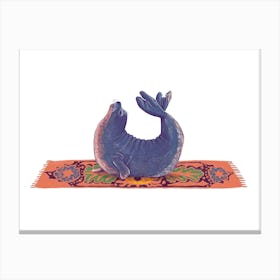 Seal Stretch - Animal Yoga Canvas Print
