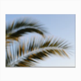 Swaying Palm Leaves Canvas Print