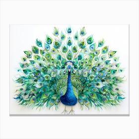 Peacock 24 Canvas Print