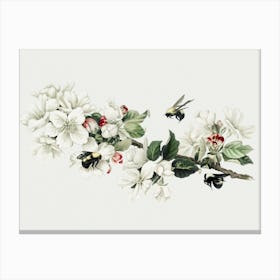 Bees And Blossoms Canvas Print