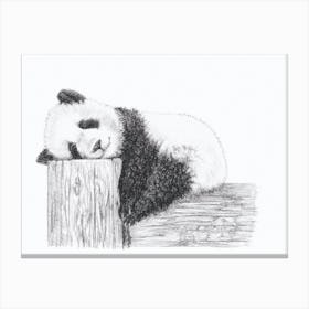 Baby Panda Sleeping Canvas Print