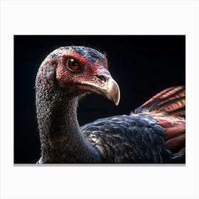 Turkey Head on Black Canvas Print