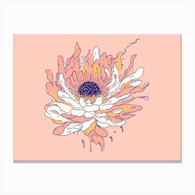 Chrysanthemum Canvas Print