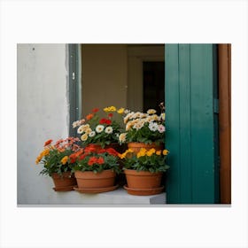 Flower Pots On A Window Sill Canvas Print