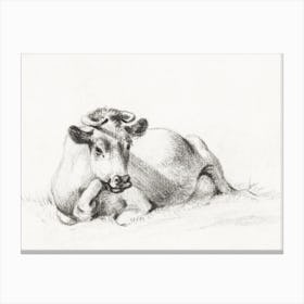 Lying Cow 1, Jean Bernard Canvas Print