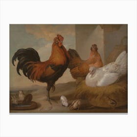 Vintage Painting Rooster And Chickens Canvas Print