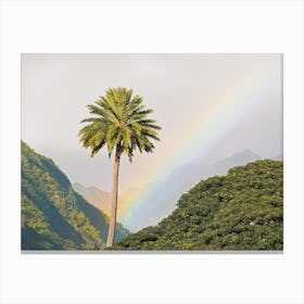 Sunrise Over Hawaii Forest Canvas Print