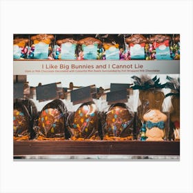 I Like Big Bunnies And I Can'T Lie Canvas Print