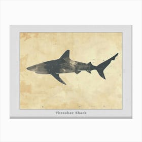 Thresher Shark Silhouette 6 Poster Canvas Print