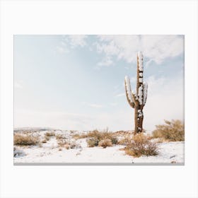 Desert Snow Canvas Print