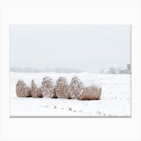 Snow Covered Round Bales Canvas Print