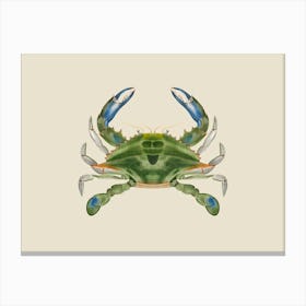 Atlantic Ocean Blue Crab By James Ellsworth De Kay On Cream Canvas Print