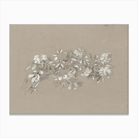 Lilies Of The Valley Canvas Print