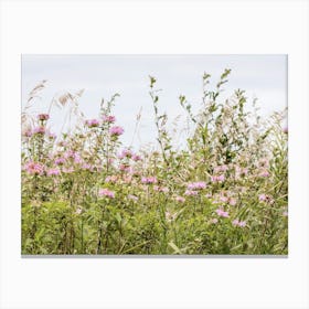 Bright Prairie Landscape Canvas Print