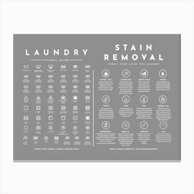 Laundry Guide With Stain Removal Grey Mineral Canvas Print