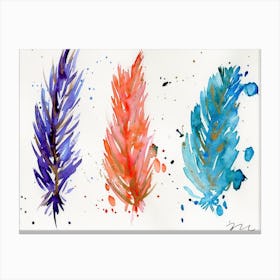 Boho Feathers Canvas Print