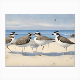 Gulls On The Beach 1 Canvas Print