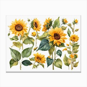 Sunflowers 7 Canvas Print