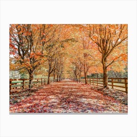 Leaf Covered Country Lane Canvas Print