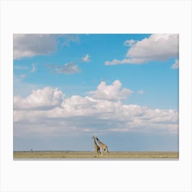 Giraffes In The Savanna Kenya  Canvas Print