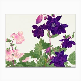 Coleus Canvas Print