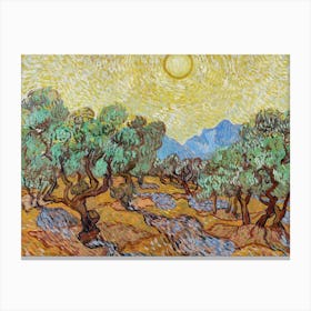 Olive Trees In The Sun Canvas Print