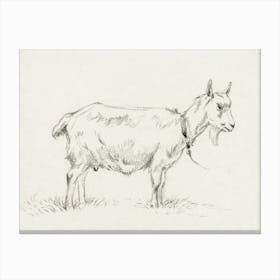 Standing Goat (1809), Jean Bernard Canvas Print