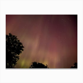 Pinks and Greens of the Aurora Borealis Canvas Print