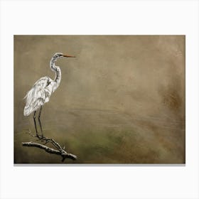 Snowy Egret Canvas Print