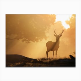Deer Silhouette In The Woods Canvas Print
