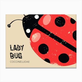 Lady Bug Canvas Print