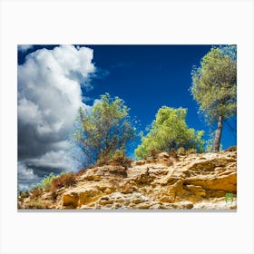 Trees On A Rocky Hillside 20230831125616rt2pub Canvas Print