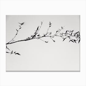 Shadow Of Tree In Black And White As Japanese Painting Lookalike Canvas Print